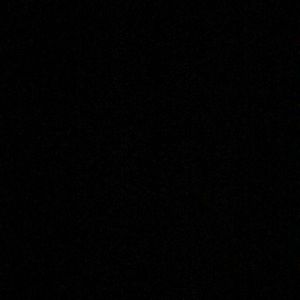 Meet your Posher, Riley